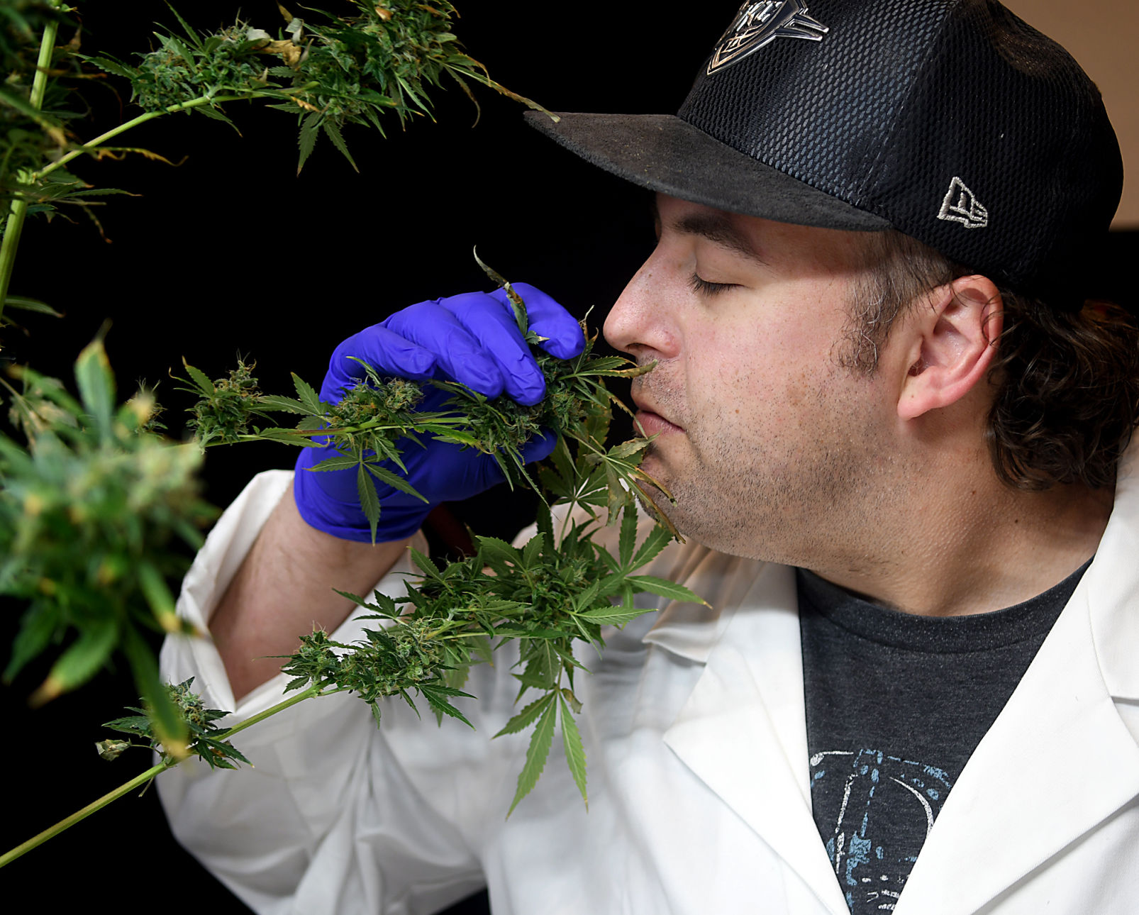 Progress Marijuana